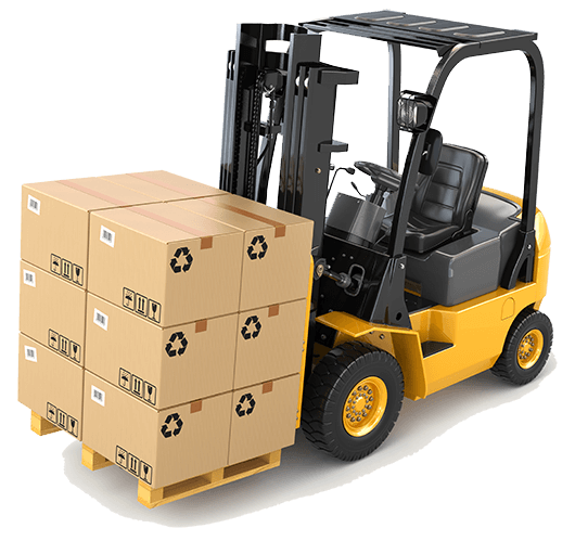 Elite HR Logistics team member